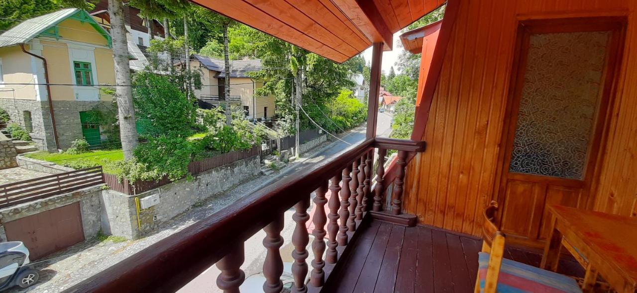 Vila Felix Hotel Sinaia Exterior photo