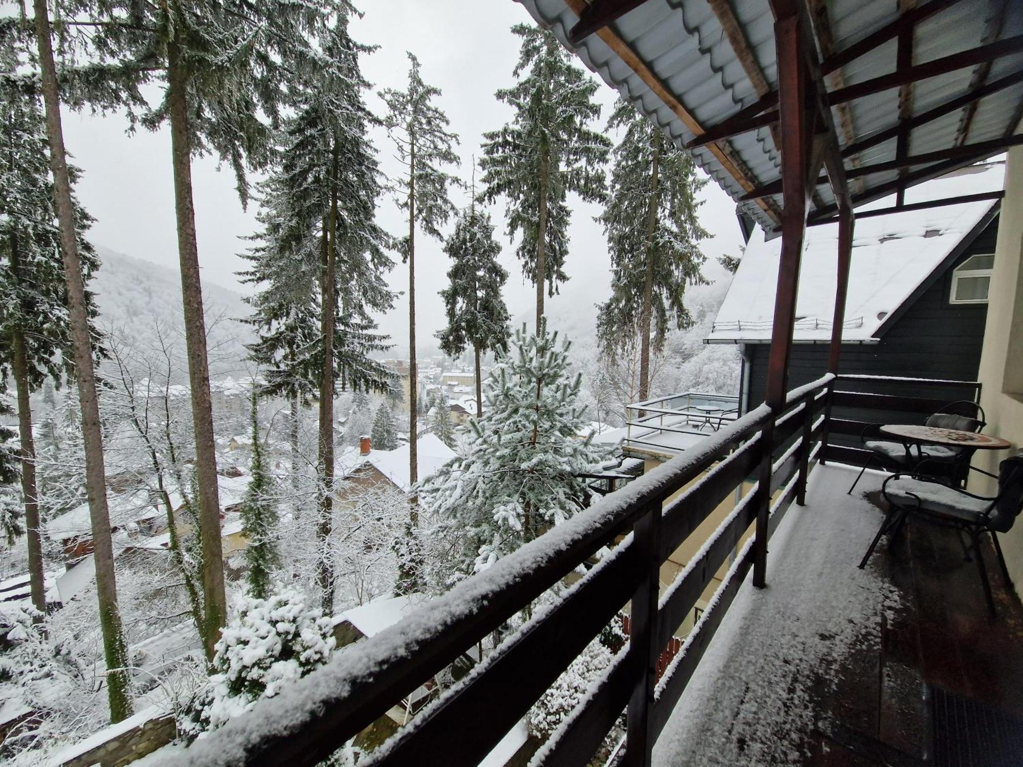 Vila Felix Hotel Sinaia Exterior photo