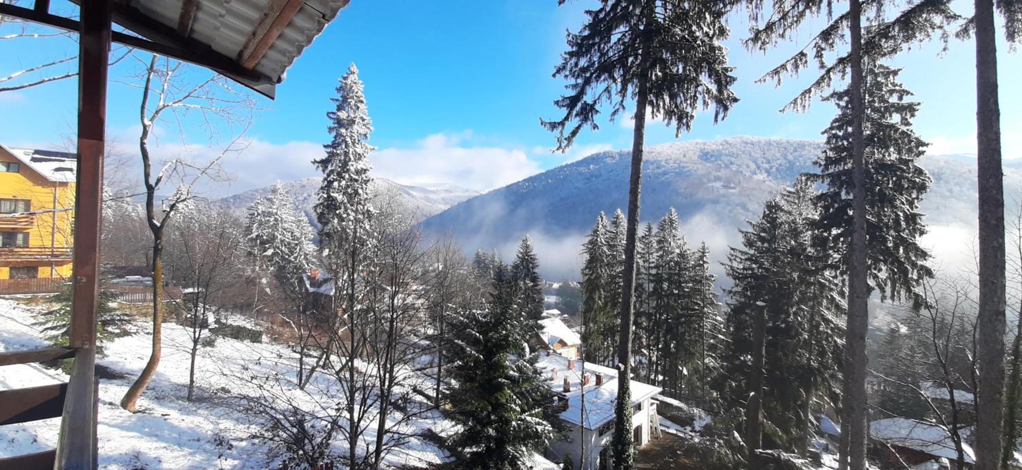 Vila Felix Hotel Sinaia Exterior photo