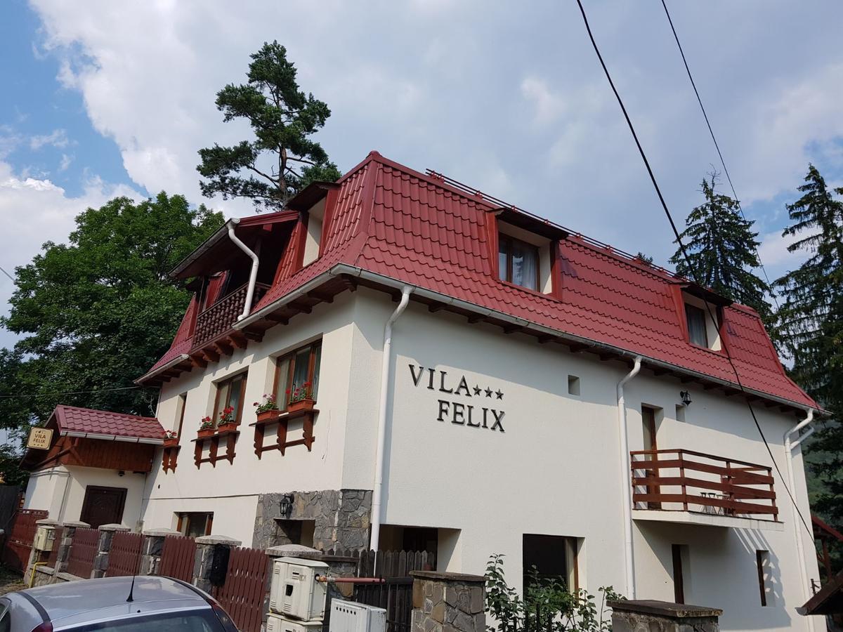 Vila Felix Hotel Sinaia Exterior photo