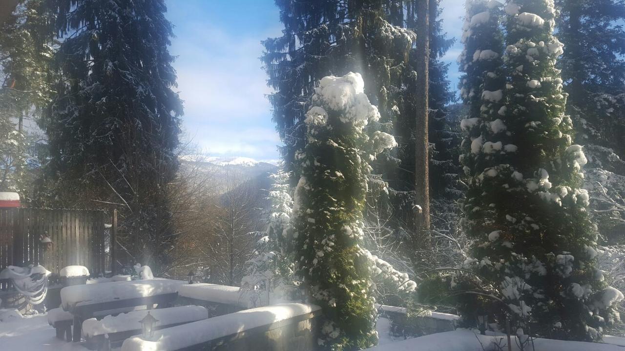 Vila Felix Hotel Sinaia Exterior photo